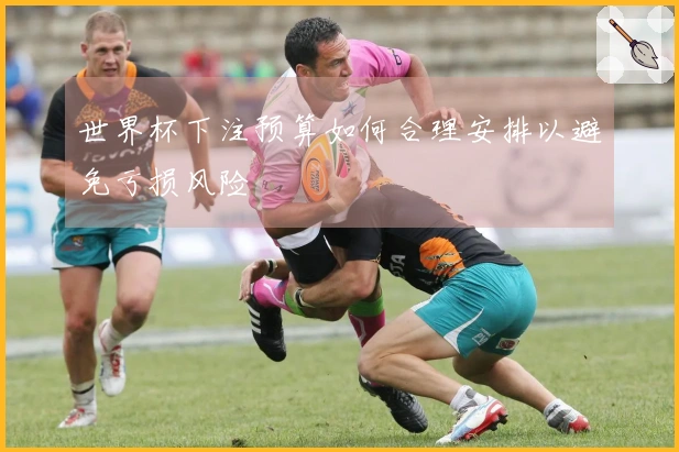世界杯下注预算如何合理安排以避免亏损风险