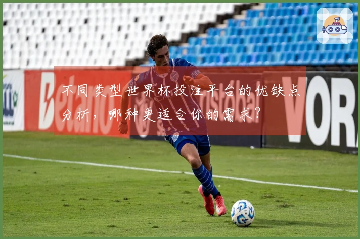 不同类型世界杯投注平台的优缺点分析，哪种更适合你的需求？