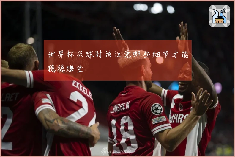 世界杯买球时该注意哪些细节才能稳稳赚金