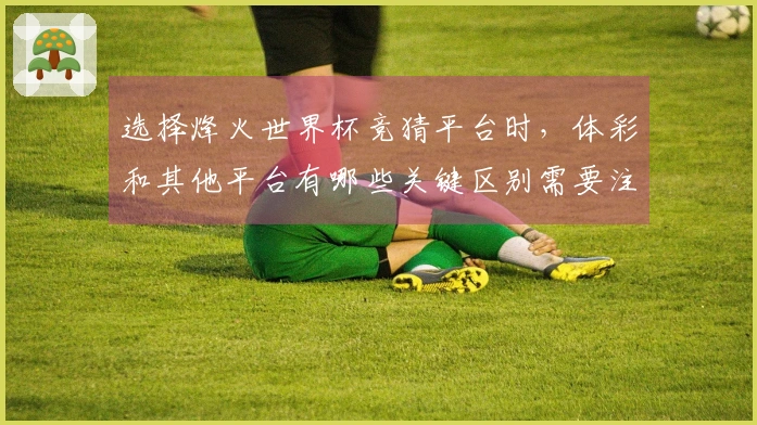 选择烽火世界杯竞猜平台时，体彩和其他平台有哪些关键区别需要注意？