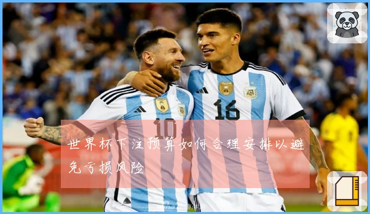 世界杯下注预算如何合理安排以避免亏损风险