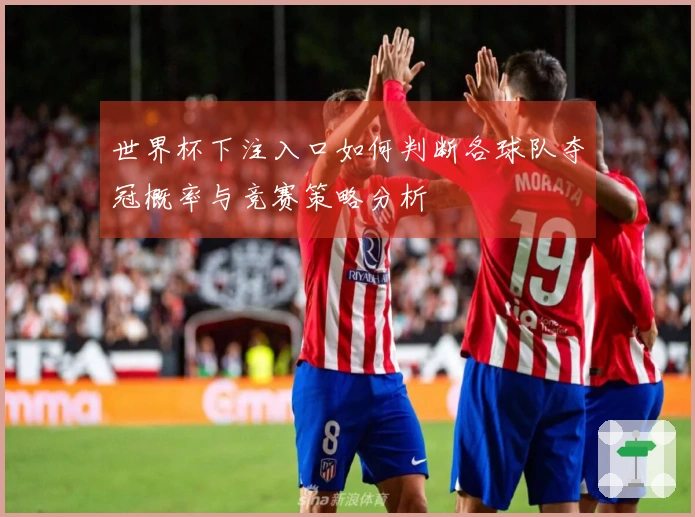 世界杯下注入口如何判断各球队夺冠概率与竞赛策略分析