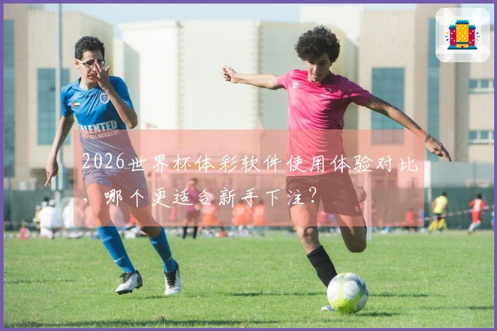 2026世界杯体彩软件使用体验对比，哪个更适合新手下注？