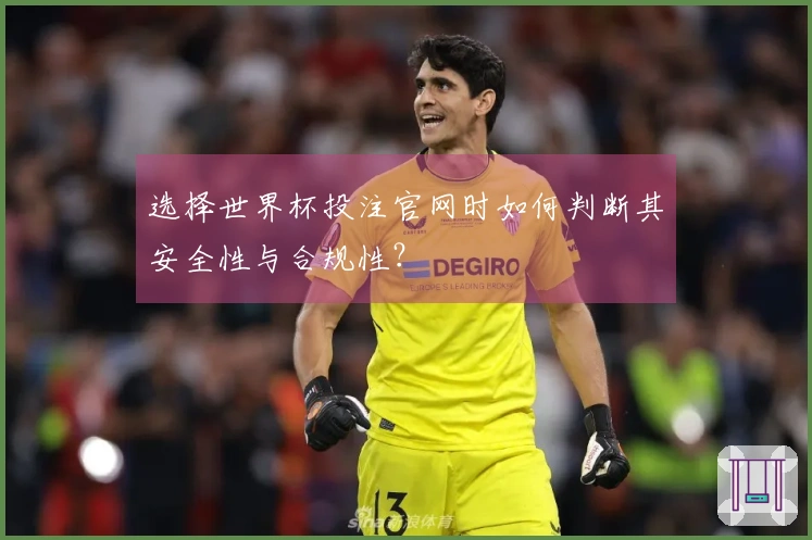 选择世界杯投注官网时如何判断其安全性与合规性？