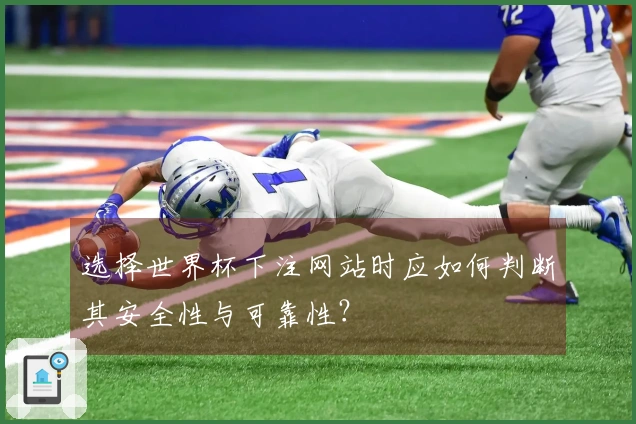 选择世界杯下注网站时应如何判断其安全性与可靠性？