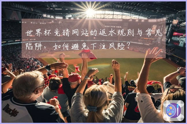 世界杯竞猜网站的返水规则与常见陷阱，如何避免下注风险？