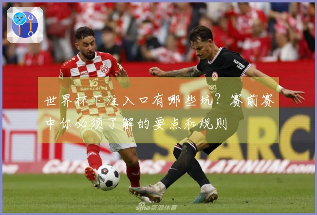 世界杯下注入口有哪些坑？赛前赛中你必须了解的要点和规则