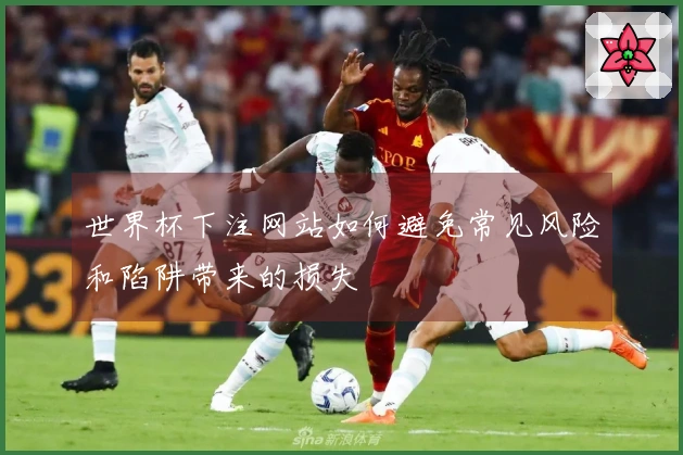 世界杯下注网站如何避免常见风险和陷阱带来的损失