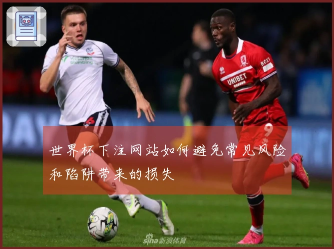 世界杯下注网站如何避免常见风险和陷阱带来的损失