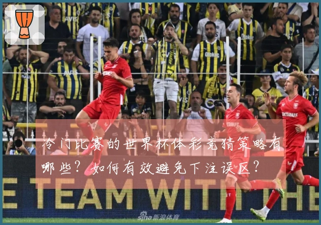 冷门比赛的世界杯体彩竞猜策略有哪些？如何有效避免下注误区？