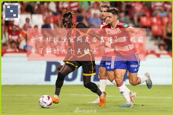 世界杯投注官网是否靠谱？下载前要了解的几个关键点