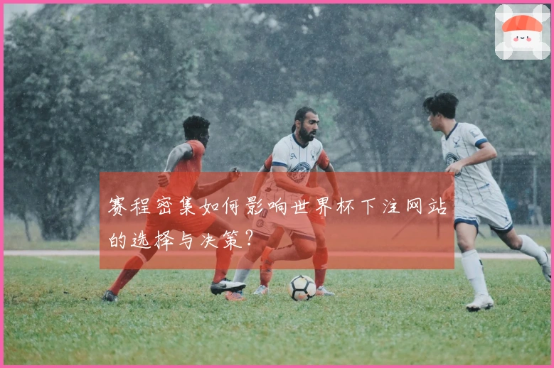 赛程密集如何影响世界杯下注网站的选择与决策？