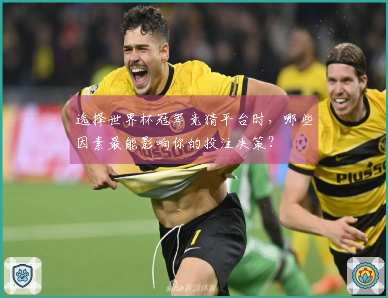 选择世界杯冠军竞猜平台时，哪些因素最能影响你的投注决策？