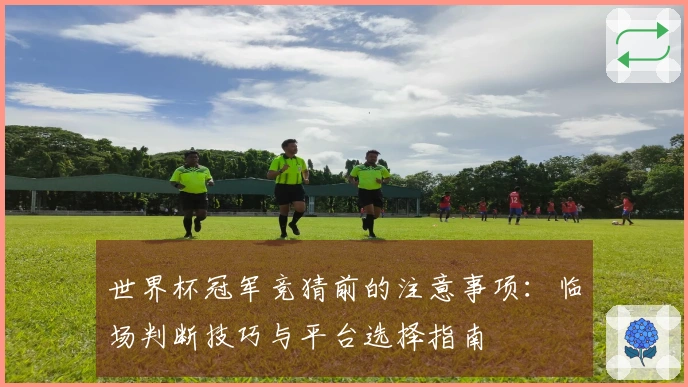 世界杯冠军竞猜前的注意事项：临场判断技巧与平台选择指南