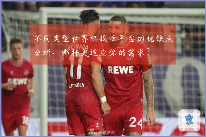 不同类型世界杯投注平台的优缺点分析，哪种更适合你的需求？