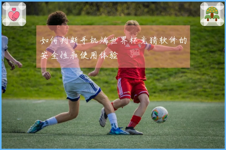 如何判断手机端世界杯竞猜软件的安全性和使用体验