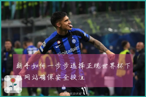 新手如何一步步选择正规世界杯下注网站确保安全投注